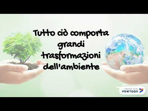 Video: In Che Modo L'ecologia Influisce Sull'uomo