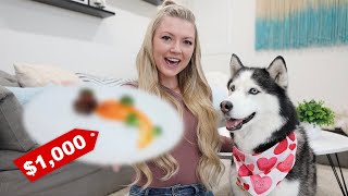 Surprising Our Dogs with a $1,000 Treat! by The Husky Fam 32,717 views 2 years ago 8 minutes, 14 seconds