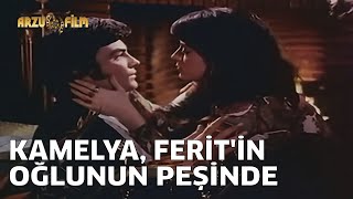 Babaların Günahı - Kamelya, Ferit'in Oğlunun Peşinde
