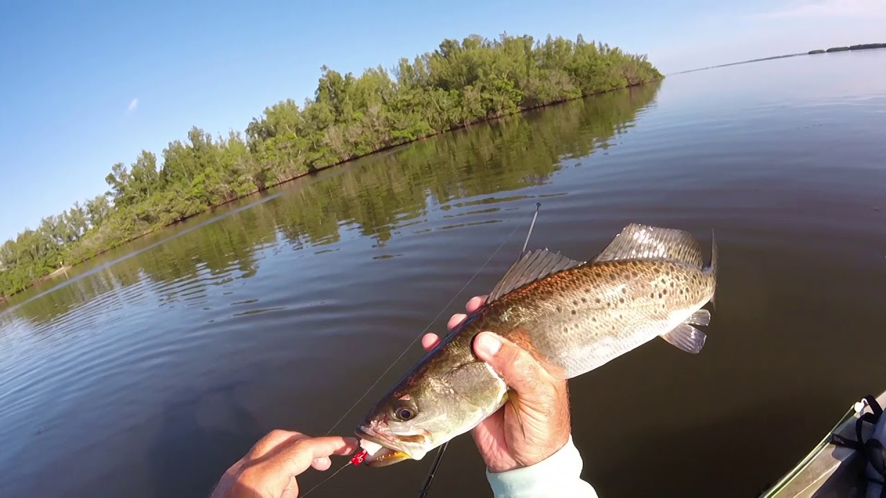 Speckled Trout Fishing with DOA Lures - FYAO Saltwater Media Group, Inc.