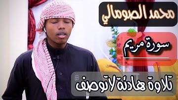 تلاوة هادئة كهدوووء اليل..((قَالَتْ يَالَيْتَنِي مِتُّ قَبْلَ هَذَا وُكُنتُ نَسْياََ مَّنسِيَّاََ)).
