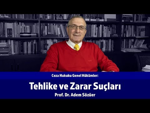 Video: Güney Carolina'da çocukları tehlikeye atmak suç mu?