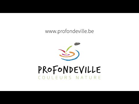 Conseil communal de Profondeville du 15 février 2022