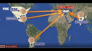 İthal Nohutlardan Dolayı Çorumlu Nohut Üreticileri Sıkıntıda
