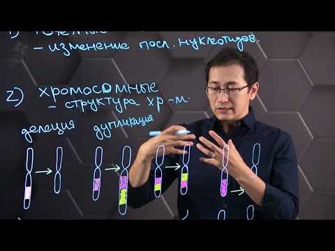 Видео: Какие бывают типы хромосомных мутаций?