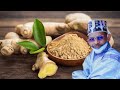 Yawan Anfani Da Citta Na Karawa Mutum Cikakkiyar Lafiya Da Tsawan Kwana 