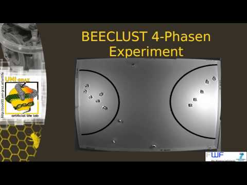 BEECLUST_Thermobots.mpeg