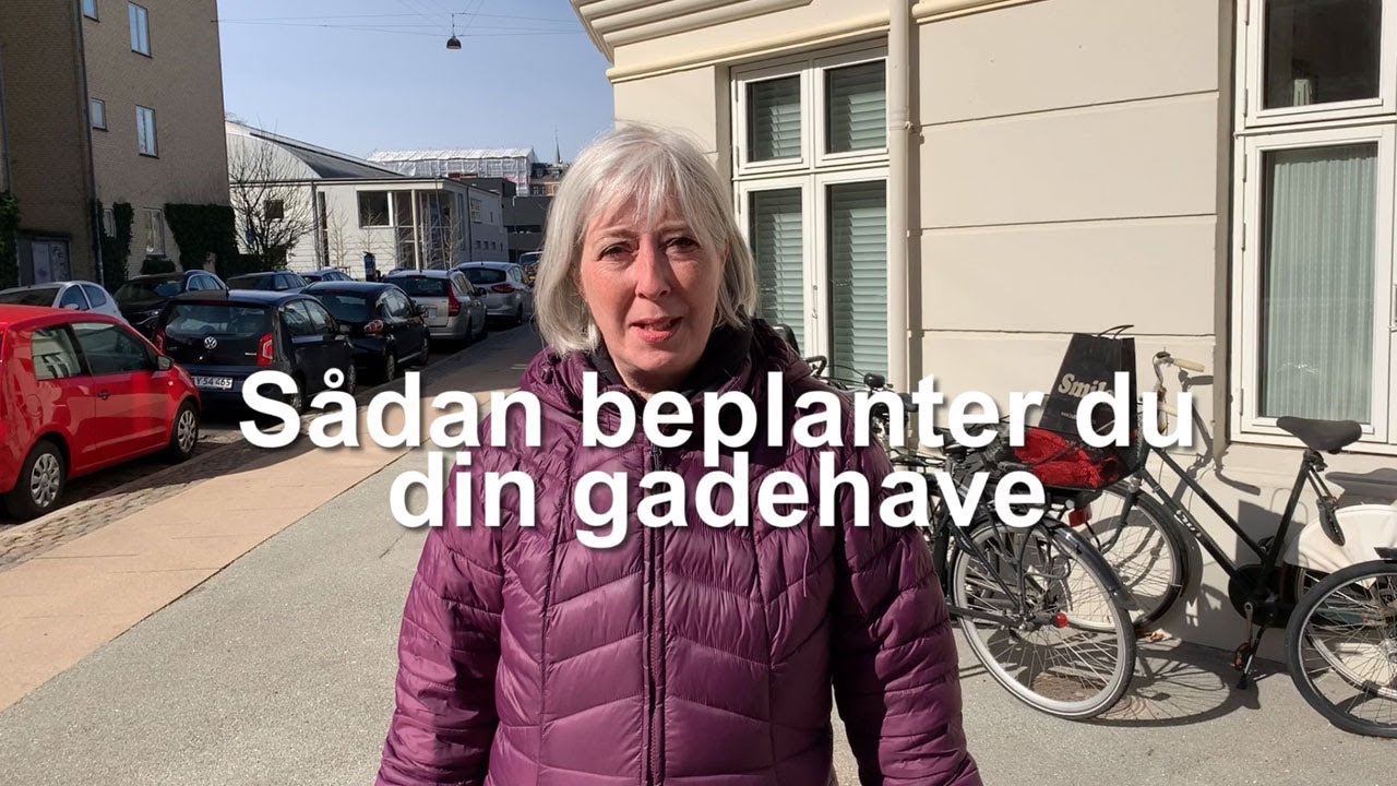 Sådan beplanter du din gadehave