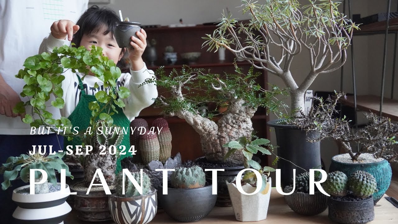 PLANT TOUR】珍奇植物と作家鉢を楽しみすぎた夏！7月から9月に購入