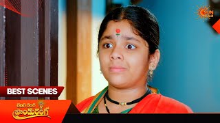 Ranga Ranga Pandu Ranga - Best Scenes | 26 May 2026 | Telugu Serial | Sun Gemini