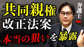 【見せかけ共同親権法案】日本国民は眼中になし！本当の狙いは…