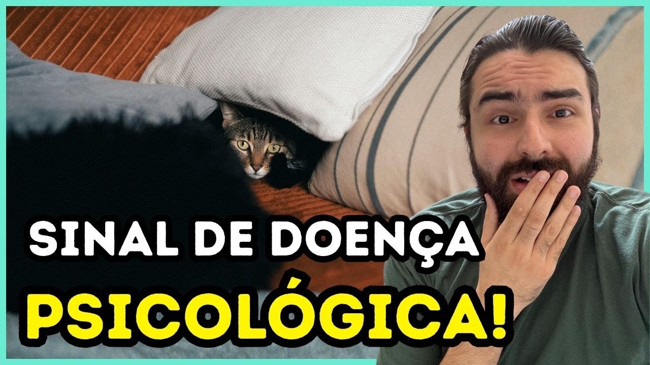 Se o Seu Gato Faz ISSO, a SAÚDE MENTAL Dele Está PÉSSIMA!