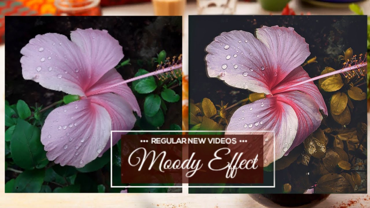 Moody Effects Flower Editing.