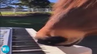 Top 5 Piano