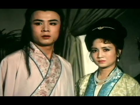 老头救下一只狐狸，多年后狐狸为报恩，将女儿嫁给了老头的傻儿子