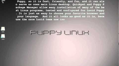 Puppy Linux 5.1 - output text stream