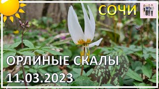 Орлиные скалы в марте 2023 года! Сочи!