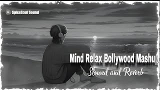 Jab Tum Aa Jate Ho Samne (Slowed & Reverb) Lofi Song 2025 | New Mashup Song | #SpiceSoulSound