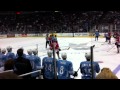 Milwaukee Admirals Fight