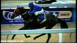 20150527 Greyville Race 8 won by AWARE
