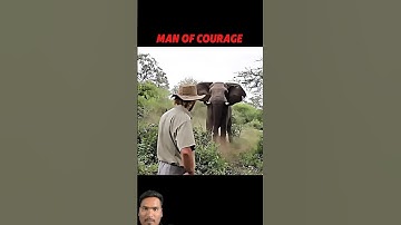 Man of courage with elephant attitude video #animals #wildlife #tiktok