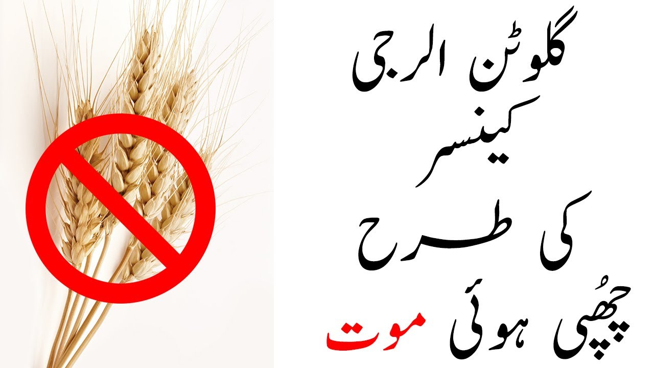 gluten allergy cancer kitarah chupi hui maut urdu hind Ú¯ÙÙÙ¹Ù Ø§ÙØ±Ø¬Û Ú©ÛÙØ³Ø± Ú©Û Ø·Ø±Ø­ Ú Ú¾Ù¾Û ÛÙØ¦Û ÙÙØª youtube gluten allergy cancer kitarah chupi hui maut urdu hind Ú¯ÙÙÙ¹Ù Ø§ÙØ±Ø¬Û Ú©ÛÙØ³Ø± Ú©Û Ø·Ø±Ø­ Ú Ú¾Ù¾Û ÛÙØ¦Û ÙÙØª