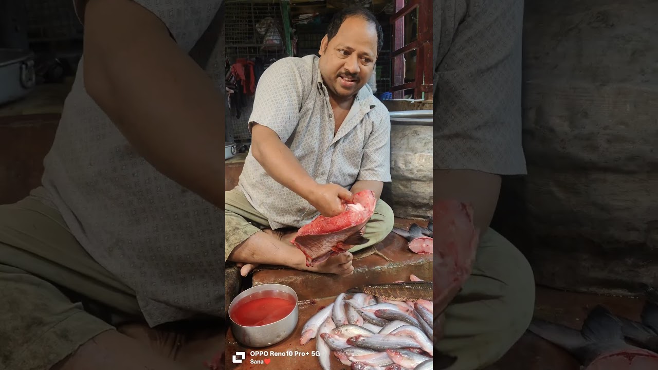 🔥Fresh Katla cutting 😯|| 