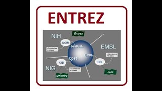 Entrez | 2024