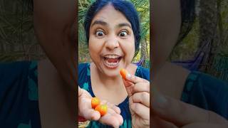 Big or Small challengegummy ice cream? Giant pretzel or pink byHmelkofm p66🤤🥰#shortsBest video Big or Small challengegummy ice cream? Giant pretzel or pink byHmelkofm p66🤤🥰#shortsBest video