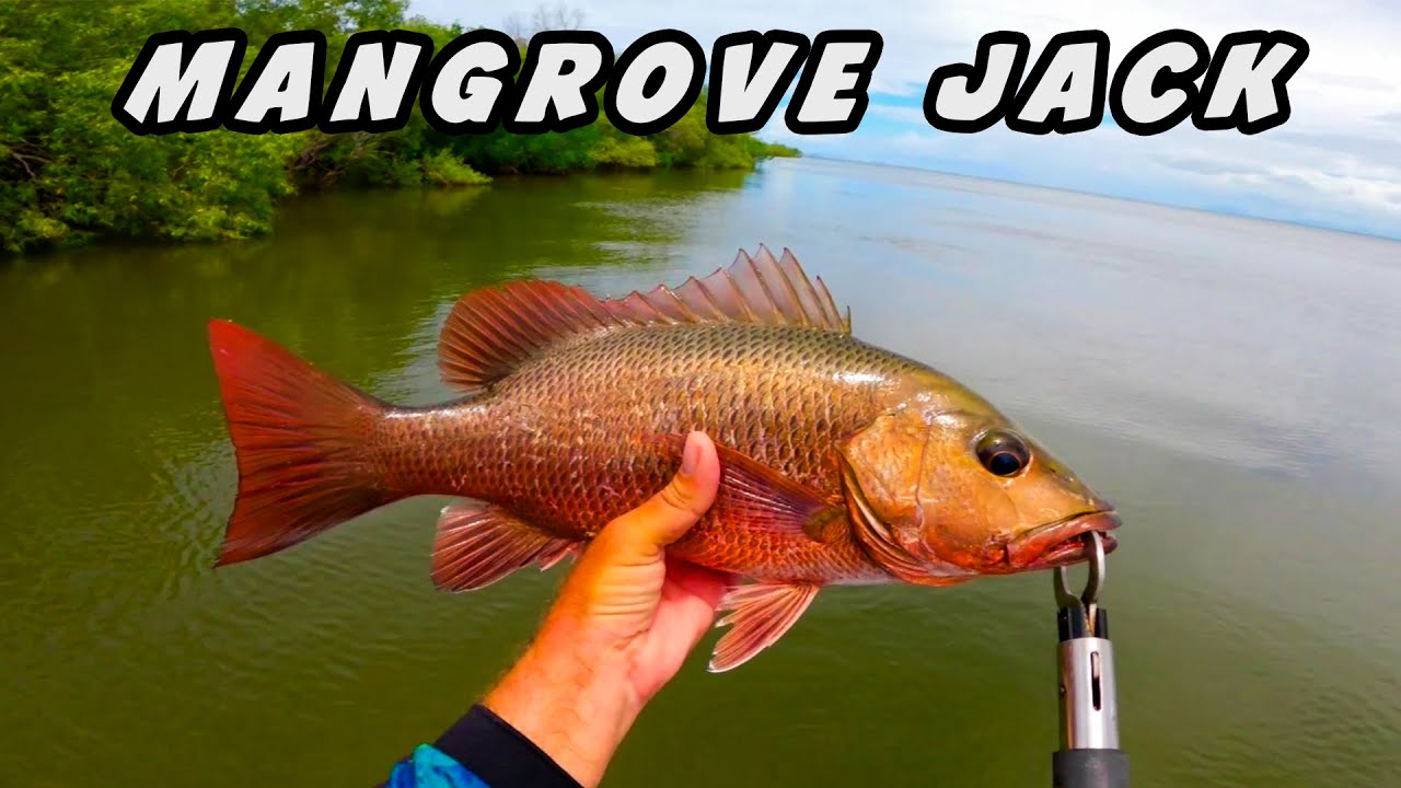 EPIC catch, you WON'T believe what I had to DO. - YouTube