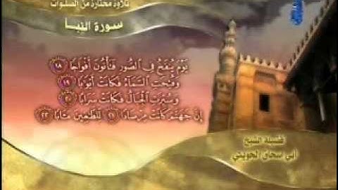 سورة النبأ - تلاوة الشيخ أبو إسحاق الحويني