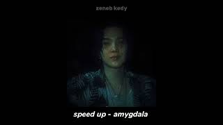 agust d - amygdala (speed up) Resimi