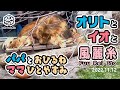 【旭山動物園】大好きなパパとお昼寝🦁フウ🐱レイ🐱イト🐱子供たちをパパに任せてひと休みイオまま🐱(11/12) [Asahiyama Zoo] Lion, Orito's Family.