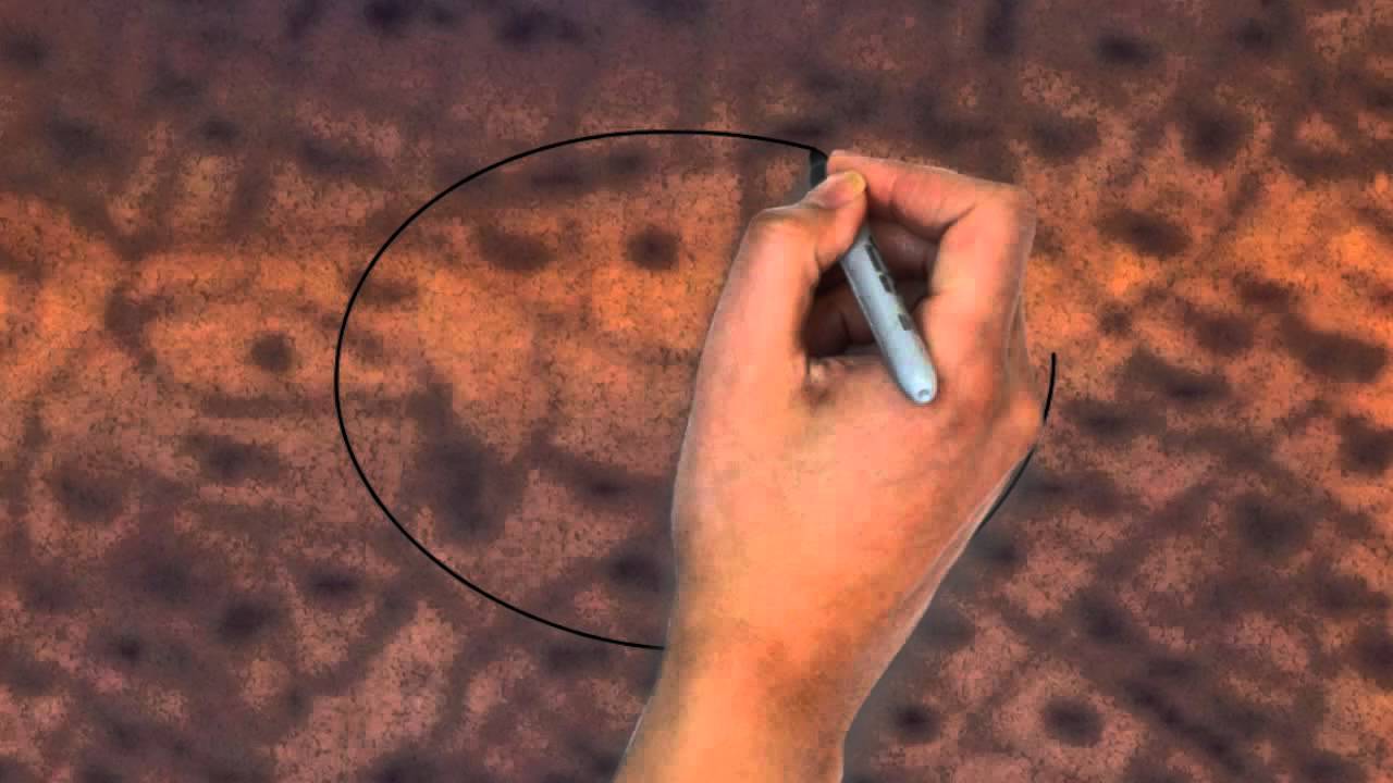 El barrio - Niza -  Ciudad