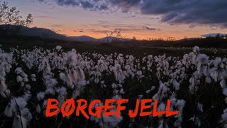 Børgefjell 2021 tur-2