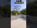 monkeybeby full masti 😂#monkey#viral#reel#cute#animal #comedy#masti#wildlife#monkeyshorts