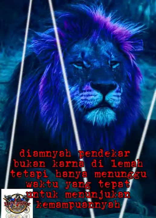 story wa pendekar