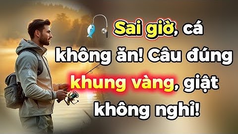 🎯 Thời Điểm Vàng Cá Ăn Mạnh Trong Ngày – Đừng Câu Lúc Cá Đang Ngủ!
