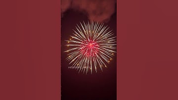 6” Inch 150Mm display shell Gold willow with red/orange ring 🔥 #fireworks #vuurwerk