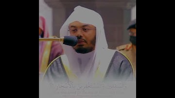 الَّذِينَ يَقُولُونَ رَبَّنَا إِنَّنَا آمَنَّا | سورة آل عمران | ياسر الدوسري | حالات واتساب قرآن 💙🎧