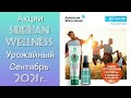 Акция Siberian Wellness Урожайный Сентябрь 2021 (купи 2 со скидкой 20 %)