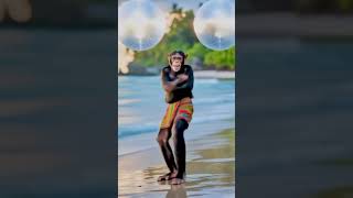 This Chimp’s Got Rhythm! 🐵🔥 Dancing in Style on the Beach! #junglefever