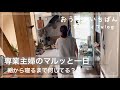 【50代主婦】話し相手は主に犬/家事と休憩の一日