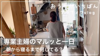 【代主婦】話し相手は主に犬/家事と休憩の一日