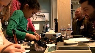 CityStream: Archaeology Day at the Burke Museum