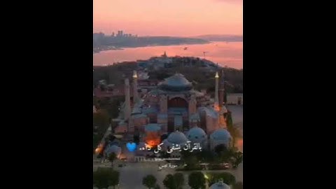 فلينظر الإنسان إلى طعامه... سورة عبس