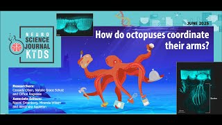 E163: How do octopuses coordinate their arms? [SJK Audio Edition]
