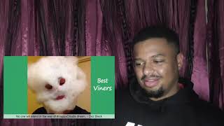 Try Not To Laugh or Grin While Watching Funny Clean Vines #75 - Best Viners 2020