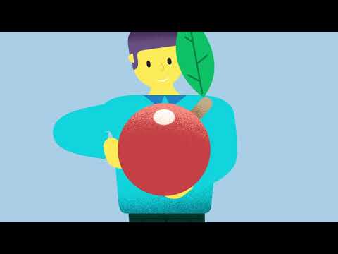 what’s-in-neuriva?-discover-our-natural-ingredients-to-support-brain-health