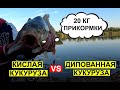 ДИПОВАННАЯ КУКУРУЗА против КИСЛОЙ КУКУРУЗЫ. 20 килограмм прикормки.